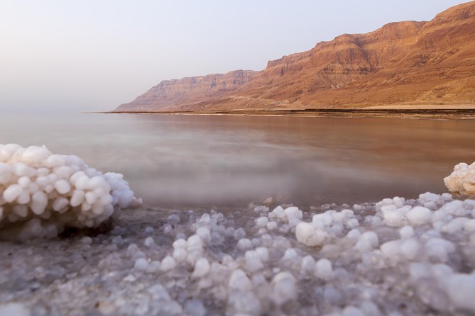 Private Half Day Tour to the Dead Sea from Amman - What the drivers add to the day
