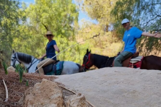 Private Indiana-Jones Archeological Trail Tour - Qasr al-Bint and the central temple area