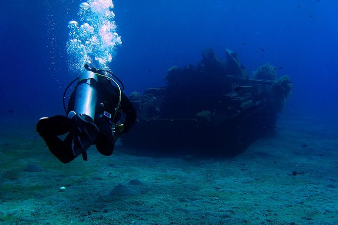 Private Intro Scuba Dive – Aqaba Coral Reefs - Your first underwater breaths from the shore