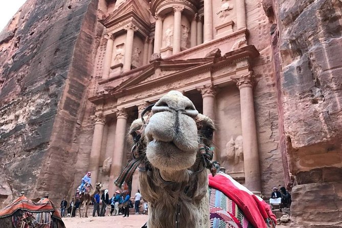 Private Petra Full-Day Trip from Aqaba City - Is $282.06 per person fair?