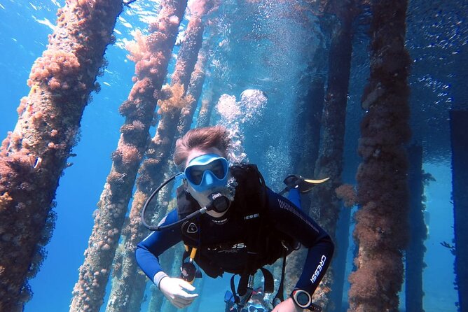 Private Scuba Diving Adventure in the Red Sea of Aqaba - Key points to know before you book