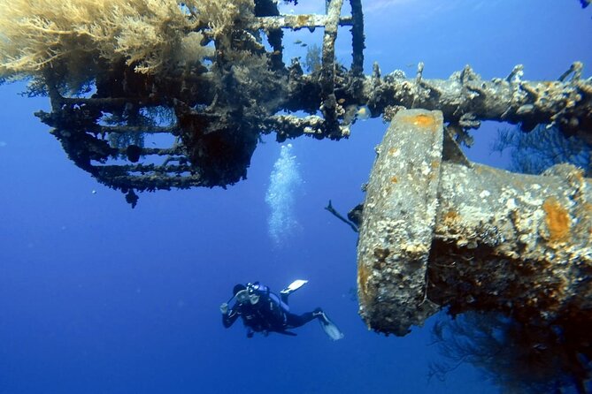 Private Scuba Diving Adventure in the Red Sea of Aqaba - How the beginner session unfolds