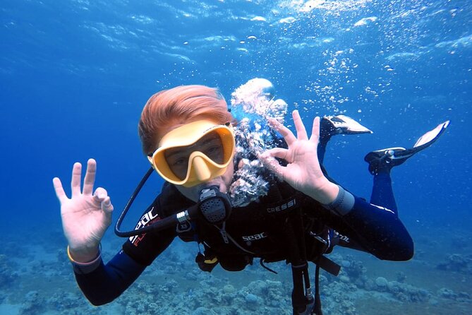 Private Scuba Diving Adventure in the Red Sea of Aqaba - Your private meeting and preparation at Aqaba