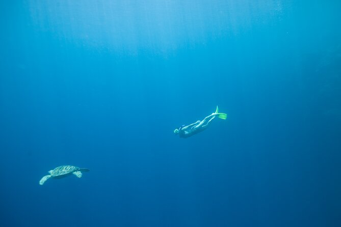 Private Snorkeling Experience in Aqaba Red Sea - What makes Aqaba’s Red Sea snorkeling special