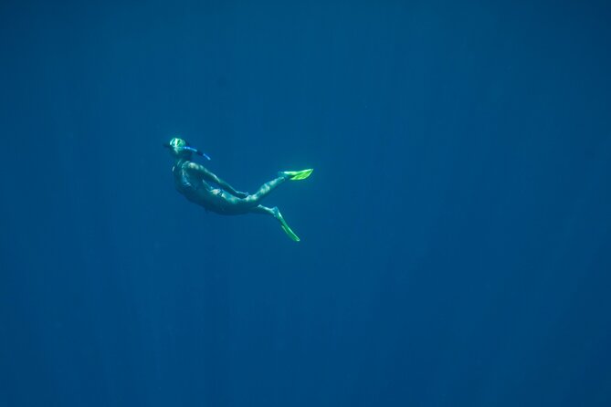 Private Snorkeling Experience in Aqaba Red Sea - A short session with direct supervision