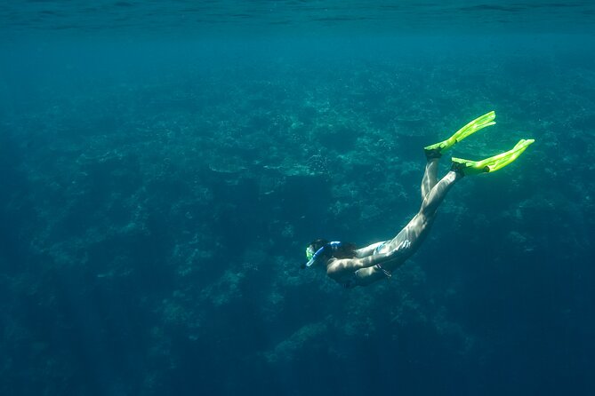 Private Snorkeling Experience in Aqaba Red Sea - Coral, fish, and underwater wrecks