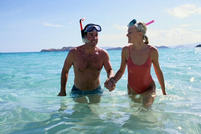 Private Snorkeling Experience in Aqaba Red Sea - What the praise tells you about the team
