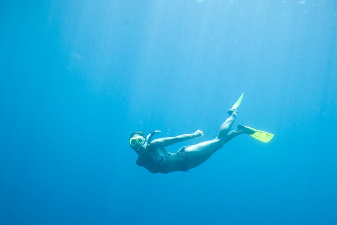 Private Snorkeling Experience in Aqaba Red Sea - Is $27 a good value?