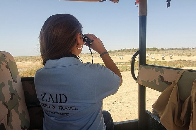 Private Tour of Desert Castles Eastern Jordan with optional Azraq Wetland Visit - Private transport makes the remote sites practical