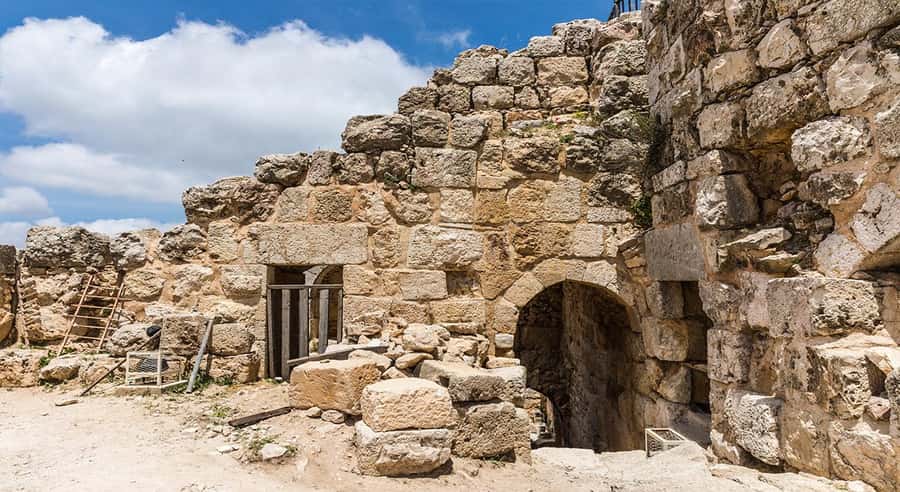 Private Tour to Jerash and Ajloun from Amman - Free time at Jerash