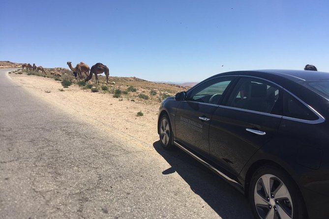 Private Transfer from Amman to Petra, Wadi Musa - Who Should Book This Transfer?
