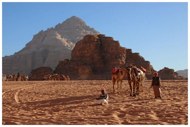 Private transfer Petra to/from Wadi Rum - Should you book the Petra to Wadi Rum transfer?