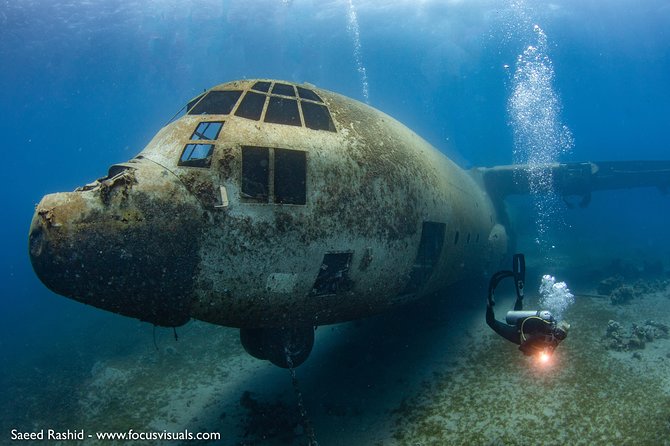Scuba Diving for Certified Divers - Aqaba’s C-130 and Tank Make This More Than a Reef Trip