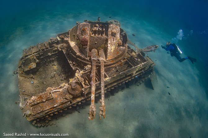 Scuba Diving for Certified Divers - The 7:30 am Start Sets the Rhythm
