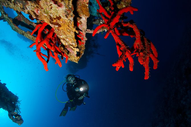 Scuba Diving for Certified Divers - Booking Timing and Cancellation Flexibility