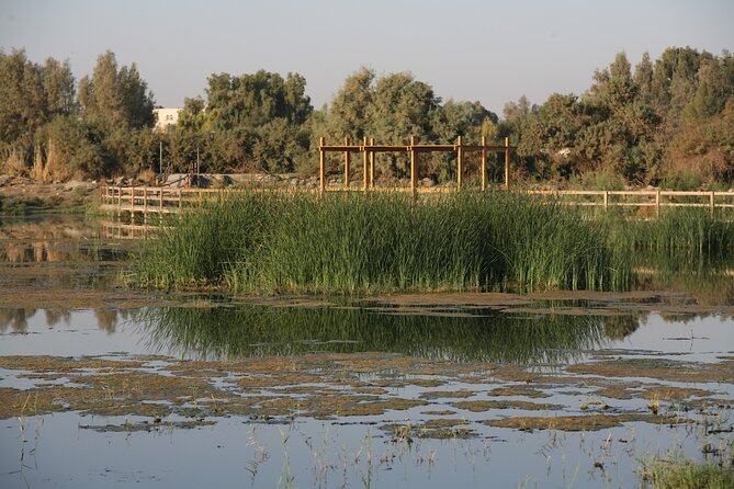 Shaumari Reserve and Azraq Wetland Private Full Day Tour from Amman - What makes the conservation work worth seeing