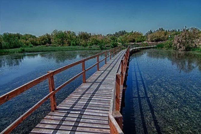 Shaumari Reserve and Azraq Wetland Private Full Day Tour from Amman - Transport, guide support, and what is included
