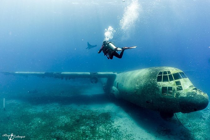 Shore Certified Diving - Two Dives - What makes Aqaba’s South Beach worth seeing underwater