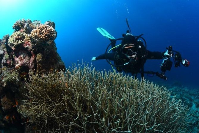 Shore Certified Diving - Two Dives - How much value do you get for $120?