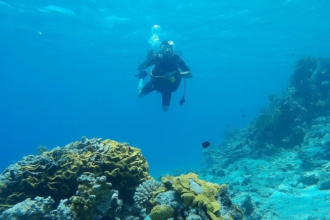 Shore Discover SCUBA Diving/Introductory Diving - One Dive - What happens during the two-hour outing