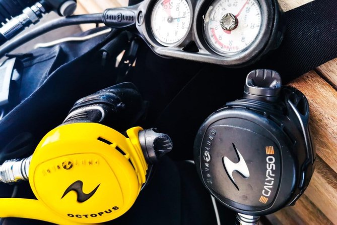 Shore Discover SCUBA Diving/Introductory Diving - One Dive - Is $75 a fair price?