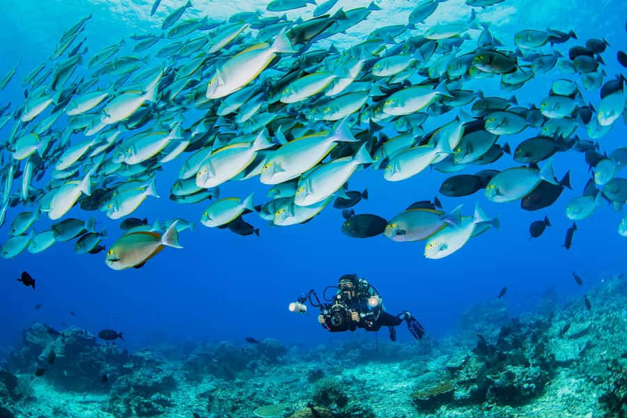shore dive in red sea with pick up & snacks - Getting ready with an English-speaking instructor