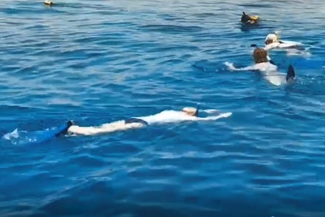 Shore Snorkeling - Two hours - From Aqaba Sharks Bay Divers to the South Beach water