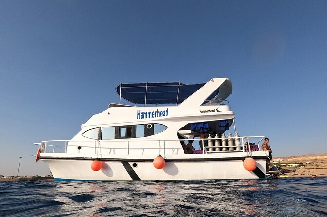 Snorkeling Activity in Aqaba with Lunch and Transportation (Boat) - Leaving Aqaba by boat for a half-day on the Red Sea