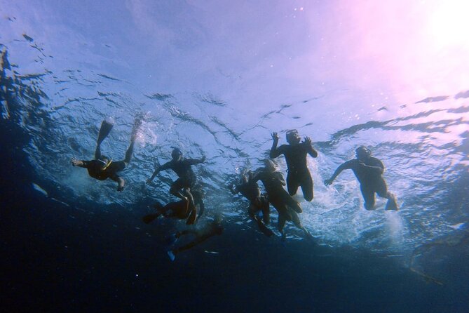 Snorkeling Activity in Aqaba with Lunch and Transportation (Boat) - Snorkeling over Aqaba’s underwater sites