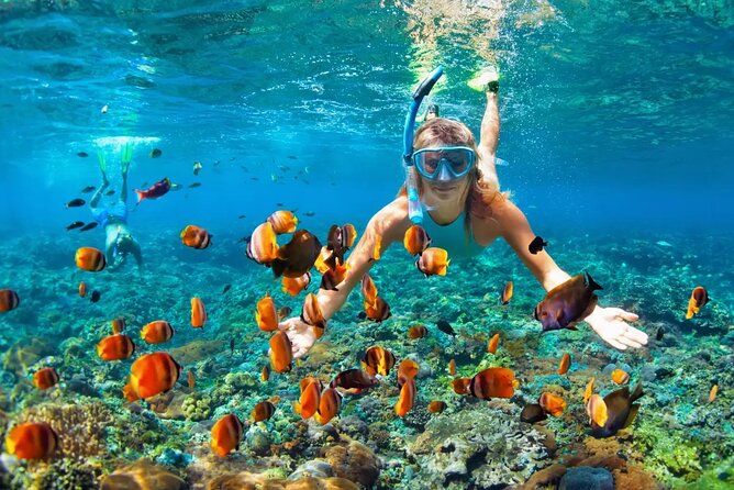 Snorkeling Activity in Aqaba with Lunch and Transportation (Boat) - Comfort details that make the outing easier