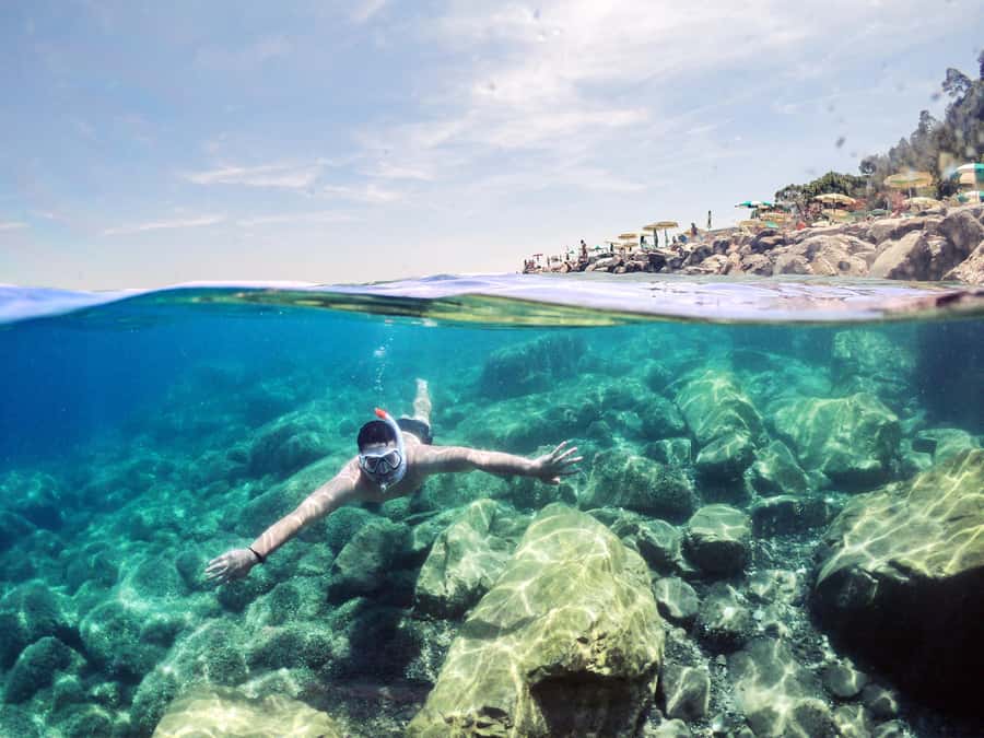 Snorkeling in The Red Sea With Equipment And Free Transfer - Coral, fish, and the unusual underwater plane and tank