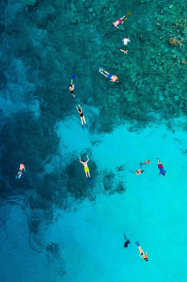 Snorkeling in The Red Sea With Equipment And Free Transfer - Booking details that affect your day