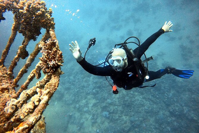 Take advantage of a half-day boat dive experience in Red sea of Aqaba. - Coral, fish, and the option to snorkel