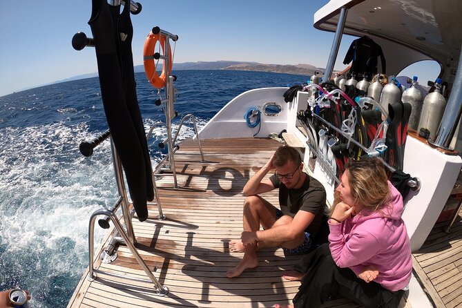Take advantage of a half-day boat dive experience in Red sea of Aqaba. - Lunch, drinks, and the rhythm of the trip