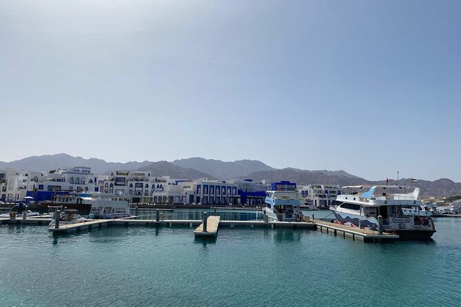 Take advantage of a half-day boat dive experience in Red sea of Aqaba. - Who should book this Aqaba experience