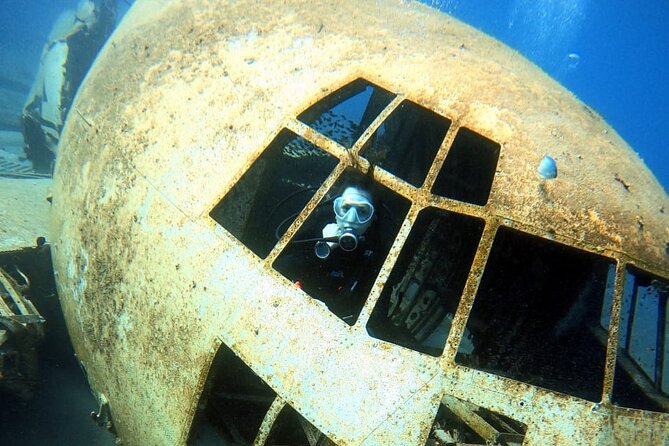 Take advantage of a half-day boat dive experience in Red sea of Aqaba. - Booking details, weather, and cancellation