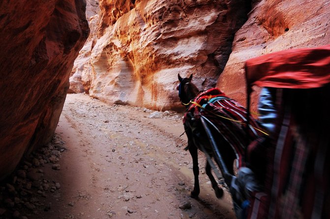 Transportations around Jordan | The Jordanian Mappers - Airport, Amman, and Petra Connections