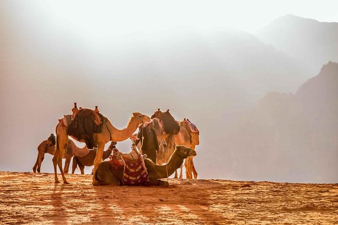 Treasures of Jordan Tour-7 Days Discover Petra & Dead Sea & Wadi Rum with Hotels - Day 4: a 4x4 ride and a night at Wadi Rum