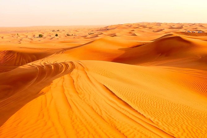Treasures of Jordan Tour-7 Days Discover Petra & Dead Sea & Wadi Rum with Hotels - Day 6: Jerash, Ajloun Castle, and the Dead Sea