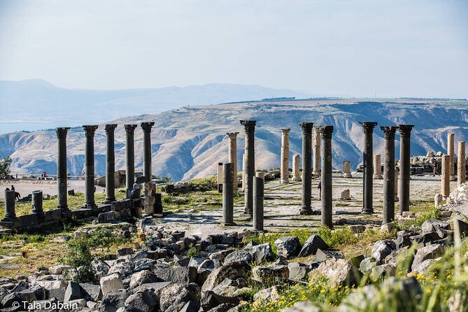 Trip to Jerash, Ajloun and Umm Qais - Who should book this northern Jordan circuit?