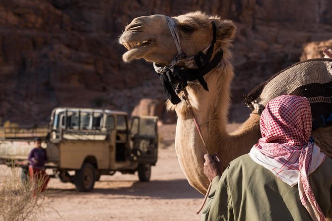 Two-Hour Jeep Safari "Wadi Rum Highlights!" w/ Professional Guide - Meeting at Wadi Rum Rest House