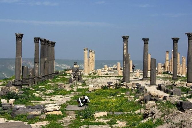 Umm Qais, Ajloun and Jerash Full-Day Tour from Amman - Cost, tickets, and the Jordan Pass