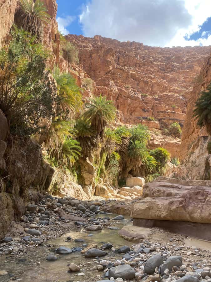 Wadi Ghuweir Full-Day Hike with Local Guide & Lunch. - Key points about the Wadi Ghuweir hike