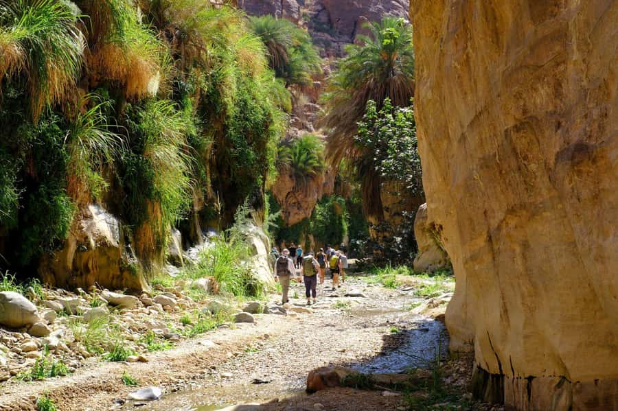 Wadi Ghuweir Full-Day Hike with Local Guide & Lunch. - What the guide adds to a remote canyon