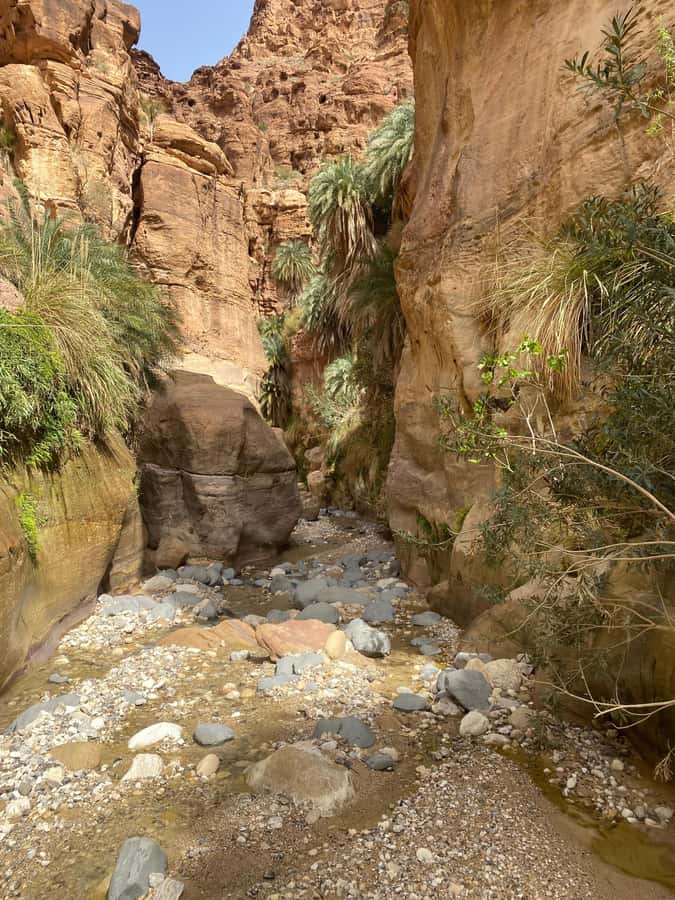 Wadi Ghuweir Full-Day Hike with Local Guide & Lunch. - My final call on this Wadi Ghuweir experience