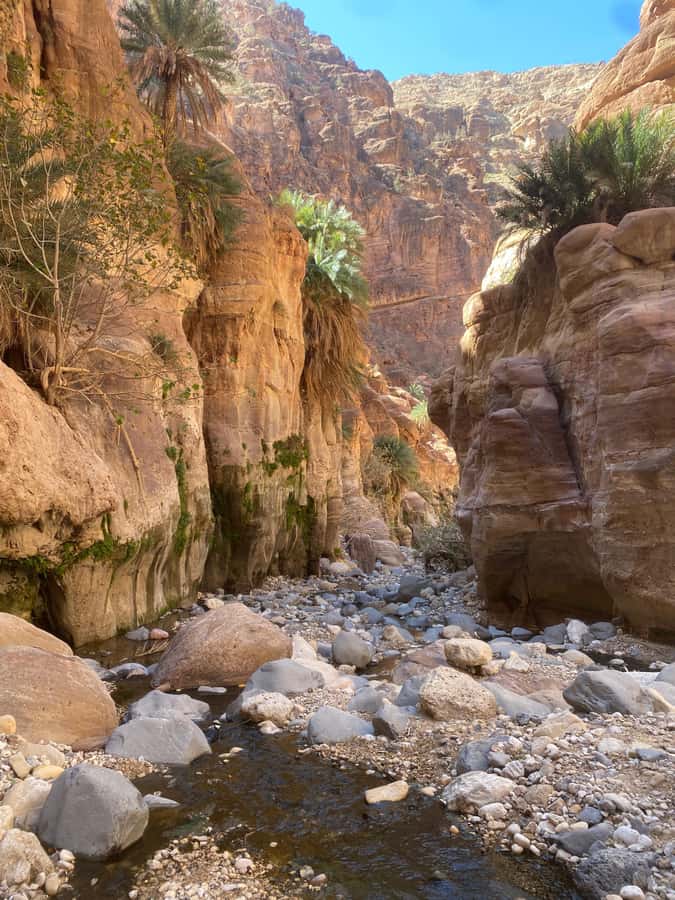 Wadi Ghuweir Full-Day Hike with Local Guide & Lunch. - Six hours beside water, rock, and palms