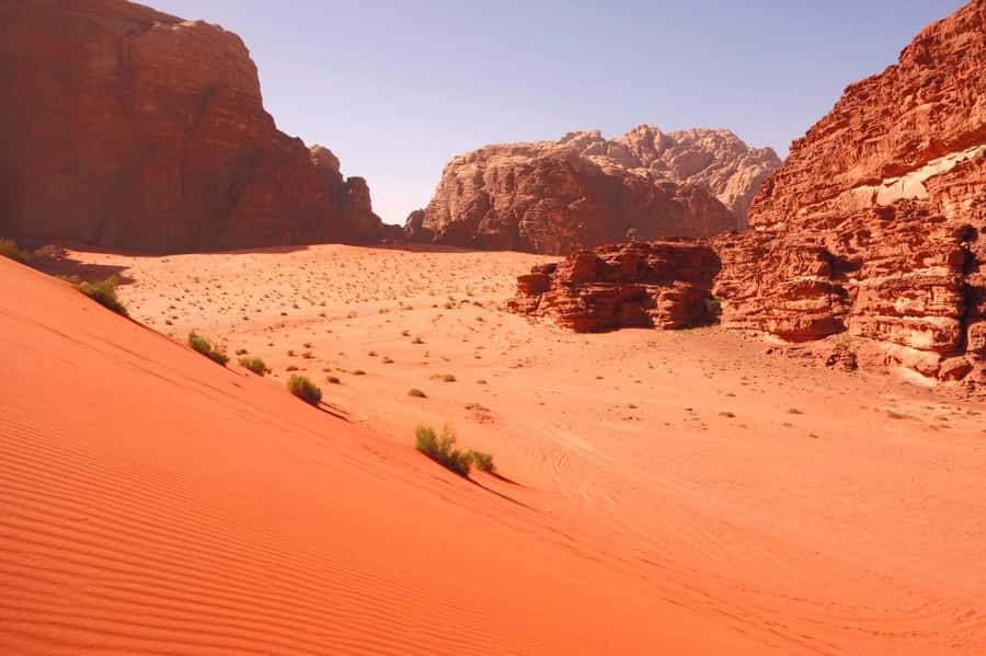 Wadi Rum: 10 Hour Jeep Tour Pass, Camel, Sandbording & Lunch - A camel ride with a clear limit
