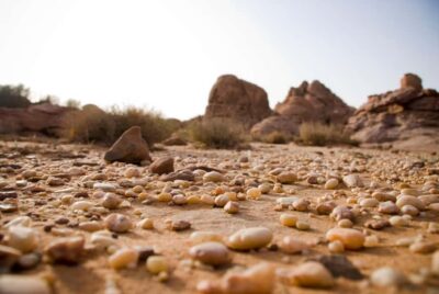 10 Hour Jeep Tour Pass, Camel, Sandbording & Lunch