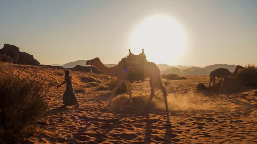 Wadi Rum: 2 Hour Camel Ride at Sunset/Sunrise Overnight - Key points to know before booking