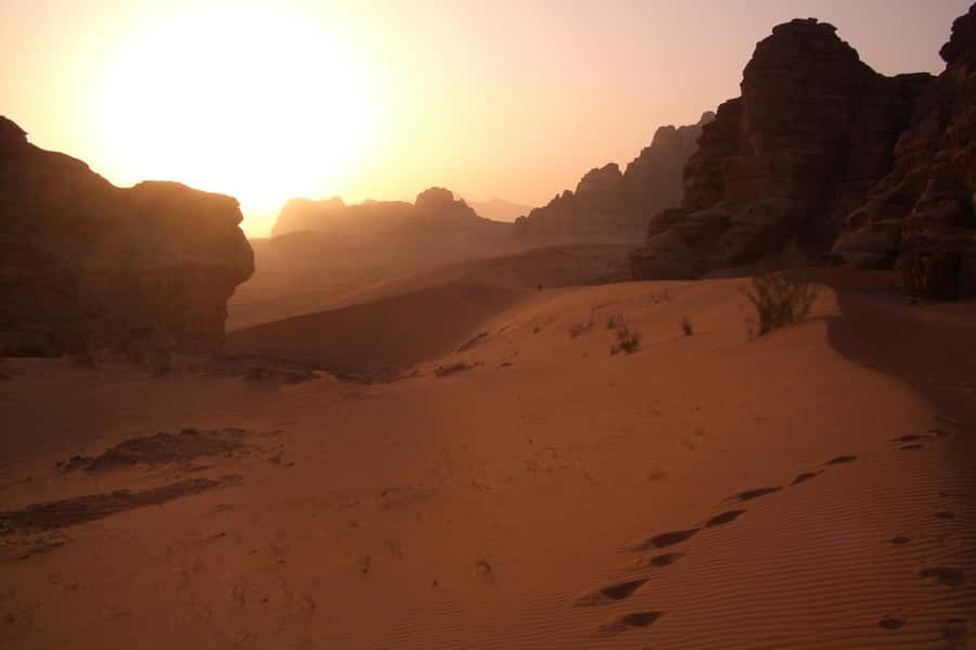 Wadi Rum: 2 Hour Camel Ride at Sunset/Sunrise Overnight - Fire Camp, dinner, and a night in the protected area